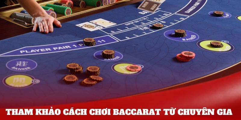 Tham khảo cách chơi Baccarat từ chuyên gia