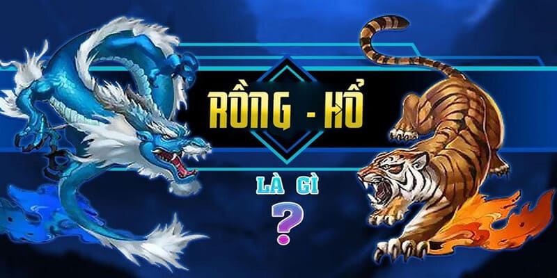 Khám phá trò chơi rồng hổ đang làm mưa làm gió tại nhà cái WIN55