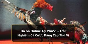 Đá gà online tại Win55