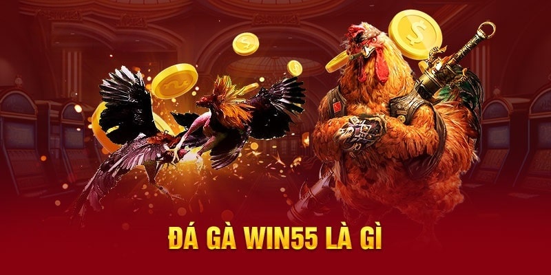 Sơ lược về bộ môn đá gà online tại Win55